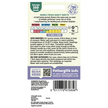 MARIGOLD (FRENCH) NAUGHTY MARIETTA