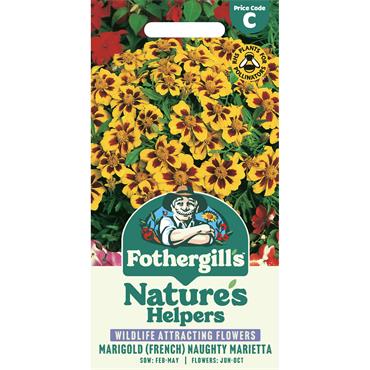 MARIGOLD (FRENCH) NAUGHTY MARIETTA