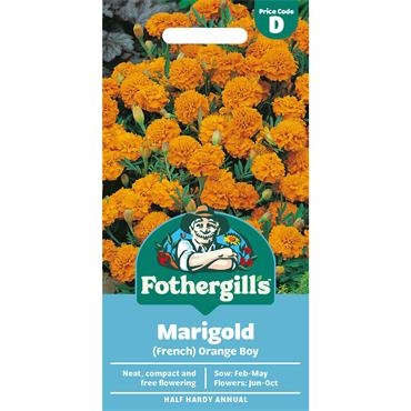 MARIGOLD (FRENCH) ORANGE BOY