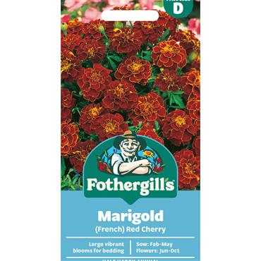 MARIGOLD (FRENCH) RED CHERRY