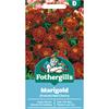 MARIGOLD (FRENCH) RED CHERRY