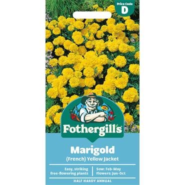 MARIGOLD (FRENCH) YELLOW JACKET