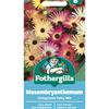 MESEMBRYANTHEMUM LIVINGSTONE DAISY MIX