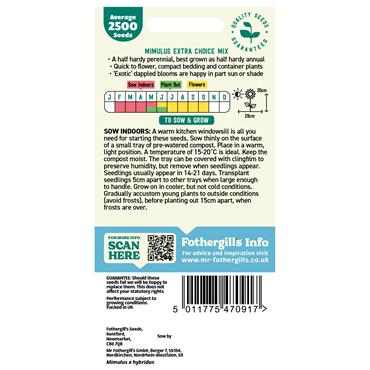 MIMULUS EXTRA CHOICE MIX