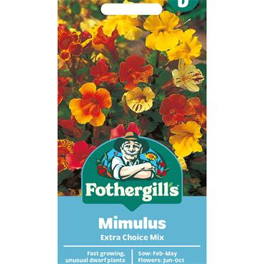 MIMULUS EXTRA CHOICE MIX
