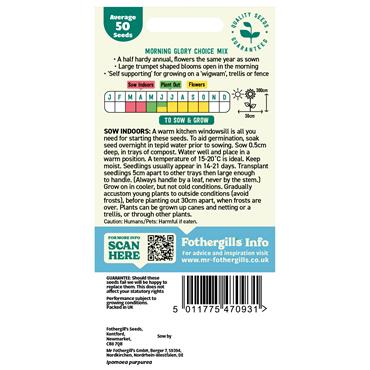 MORNING GLORY CHOICE MIX