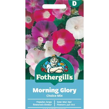 MORNING GLORY CHOICE MIX