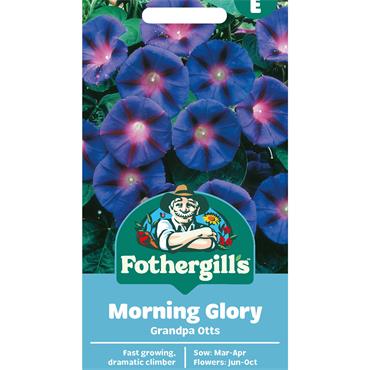 MORNING GLORY GRANDPA OTTS