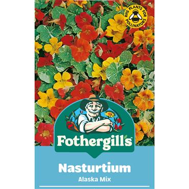 NASTURTIUM ALASKA MIX