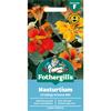 NASTURTIUM ARIZONA MIX
