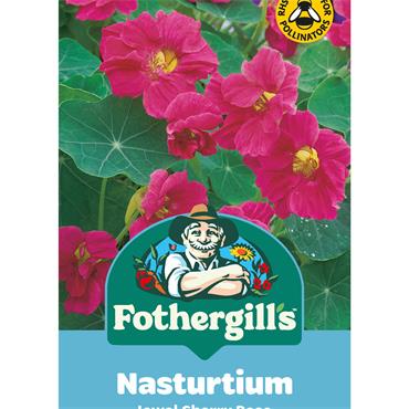 NASTURTIUM JEWEL CHERRY ROSE