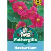 NASTURTIUM JEWEL CHERRY ROSE