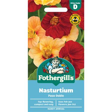 NASTURTIUM PASO DOBLE