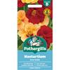 NASTURTIUM PASO DOBLE