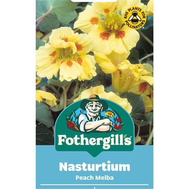 NASTURTIUM PEACH MELBA