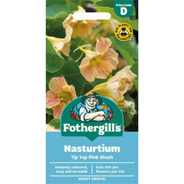 NASTURTIUM TIP TOP PINK BLUSH
