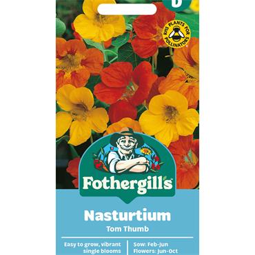 NASTURTIUM TOM THUMB