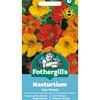 NASTURTIUM TOM THUMB