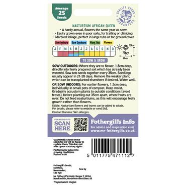 NASTURTIUM (TRAILING) AFRICAN QUEEN