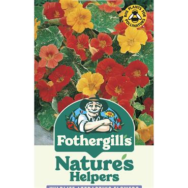 NASTURTIUM (TRAILING) AFRICAN QUEEN