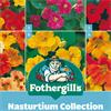 NASTURTIUM COLLECTION
