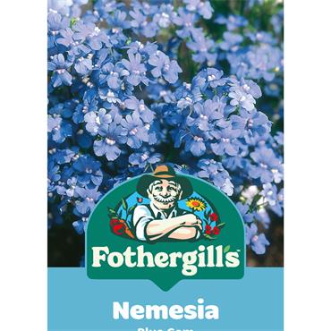 NEMESIA BLUE GEM