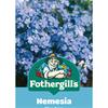 NEMESIA BLUE GEM