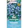 NEMOPHILA BABY BLUE EYES