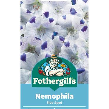 NEMOPHILA FIVE SPOT