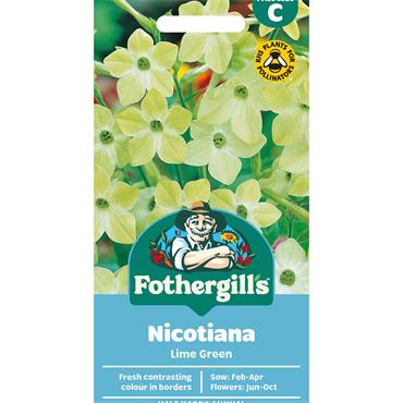 NICOTIANA LIME GREEN