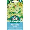 NICOTIANA LIME GREEN