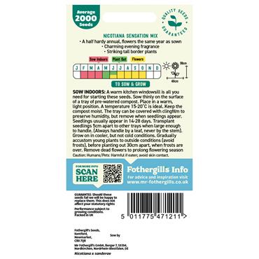 NICOTIANA SENSATION MIX
