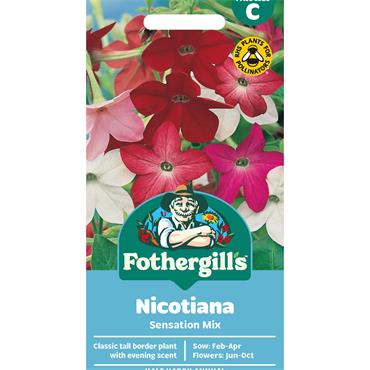 NICOTIANA SENSATION MIX