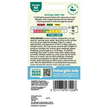 NICOTIANA SIRIUS PINK