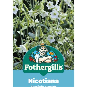 NICOTIANA STARLIGHT DANCER