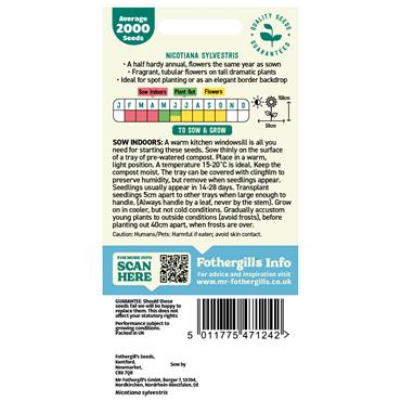 NICOTIANA SYLVESTRIS