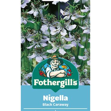 NIGELLA BLACK CARAWAY
