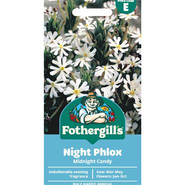 NIGHT PHLOX MIDNIGHT CANDY