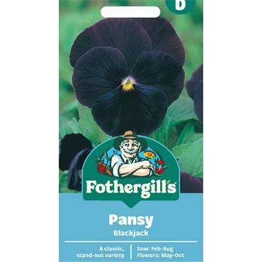 PANSY BLACKJACK