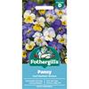 PANSY COOL SUMMER BREEZE