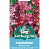 PENSTEMON MIX COLOURS