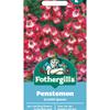 PENSTEMON SCARLET QUEEN