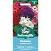 PETUNIA MR F'S GRANDIFLORA MIX F1