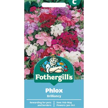 PHLOX BRILLIANCY