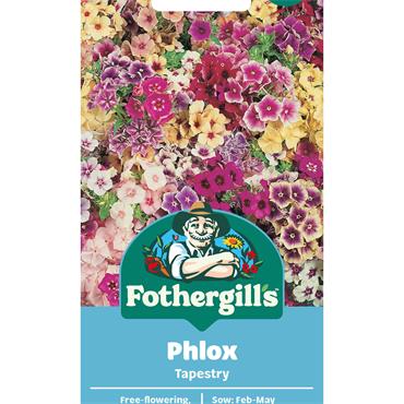 PHLOX TAPESTRY