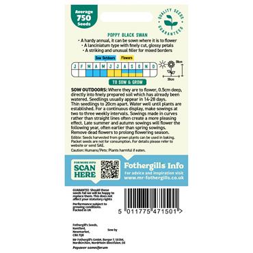 UK/FL/FO-POPPY BLACK SWAN