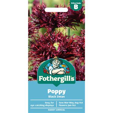 UK/FL/FO-POPPY BLACK SWAN