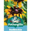 RUDBECKIA ARIES