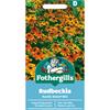 RUDBECKIA RUSTIC DWARF MIX