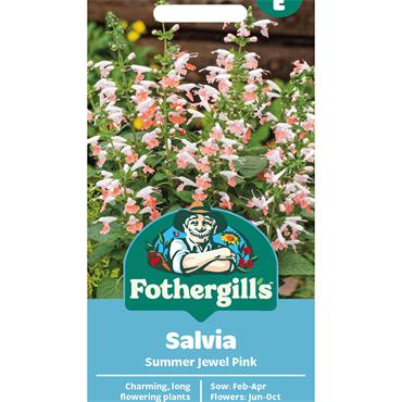 SALVIA SUMMER JEWEL PINK